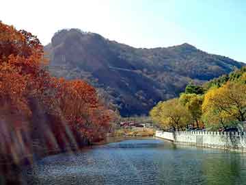 管家婆黑白马报图库，唐山钓鱼论坛